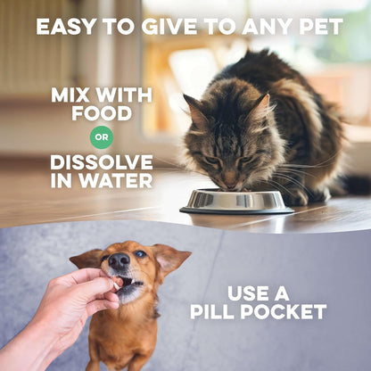 Walk-Easy Cat & Dog Pain Relief & Mobility Aid – Natural Hip & Joint Support for Injured or Senior Pets – Gentle Pain Reliever for Limping and ACL Tears – 400 Tiny Pills