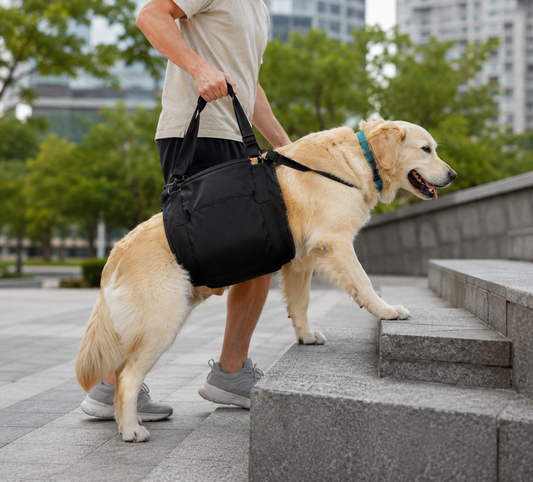 Dog Lifting Sling – Adjustable Mobility Support Harness