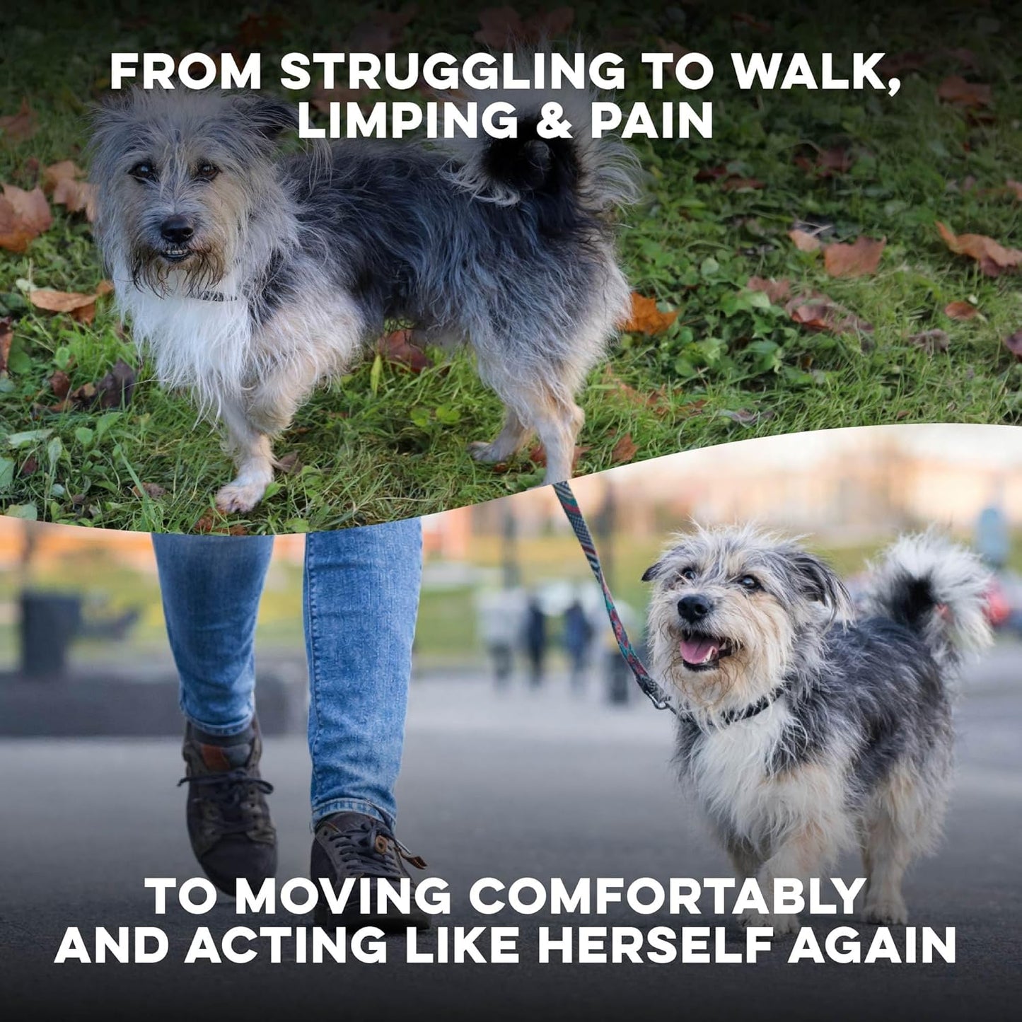 Walk-Easy Cat & Dog Pain Relief & Mobility Aid – Natural Hip & Joint Support for Injured or Senior Pets – Gentle Pain Reliever for Limping and ACL Tears – 400 Tiny Pills